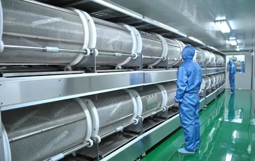 德國(guó)一化工廠爆炸,全球維生素價(jià)格為何暴漲4倍